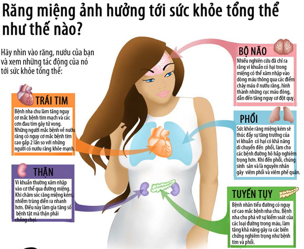 Bệnh nha chu ảnh hưởng tới nhiều bộ phận cơ thể