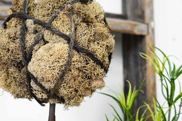 Các thói quen “mất vệ sinh” thời Trung Cổ khiến bạn khóc thét