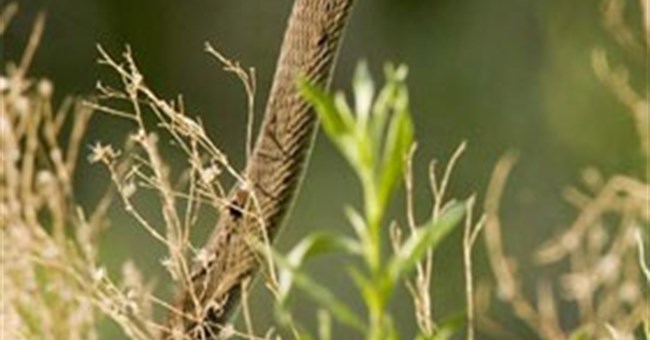 Tổng hợp tin tức hay trong tuần