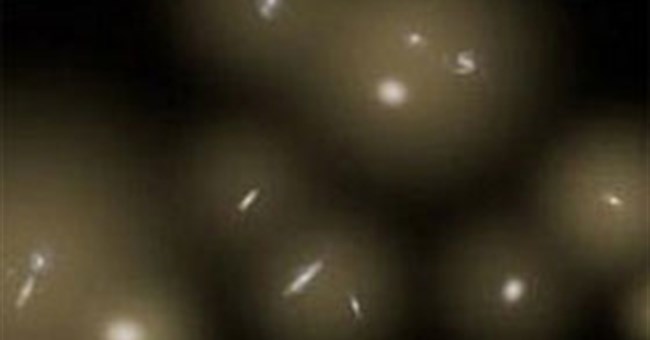 Tổng hợp tin tức tuần 01/01