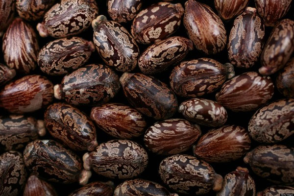 Những công cụ gián điệp 