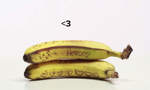 Video: Những trò "nghịch ngợm" thú vị với thức ăn