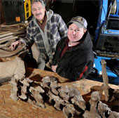 Đào xương voi răng mấu hơn 10.000 năm trong sân nhà