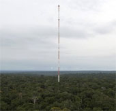 Tháp quan sát chọc trời giữa rừng Amazon