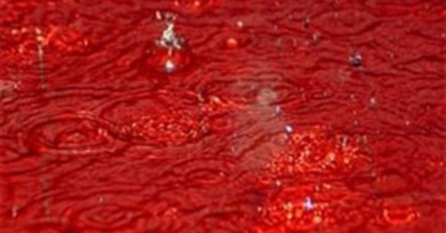 Mưa máu và những hiện tượng thời tiết "dở khóc dở cười" trong lịch sử