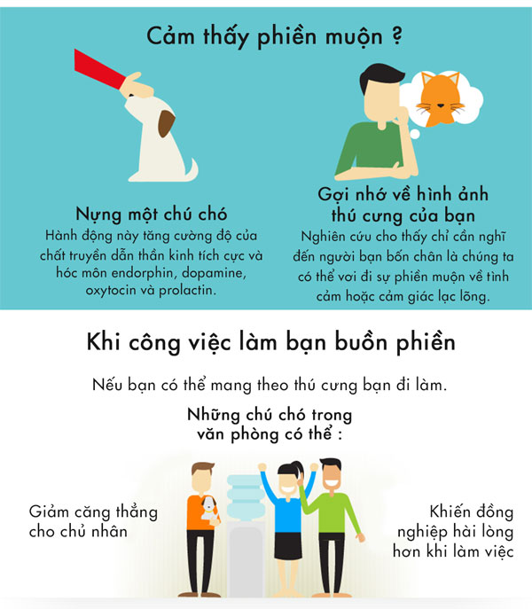 Vì sao thú cưng khiến ta hạnh phúc hơn?