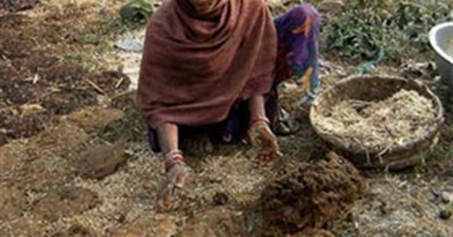 Công dụng của phân động vật khiến bạn ngã ngửa vì sốc