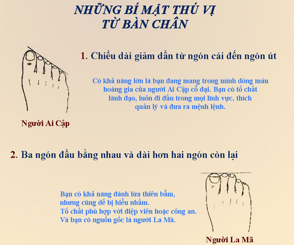 Đoán tính cách qua hình dáng bàn chân
