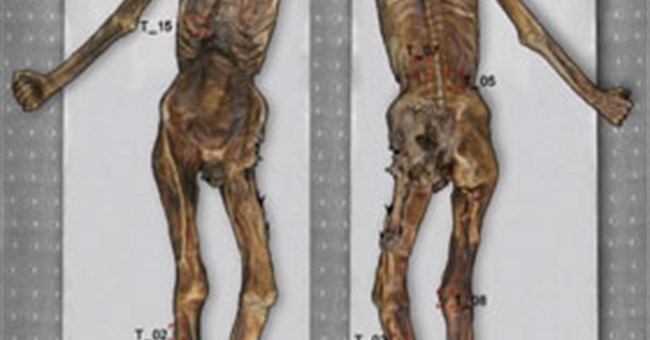 Phát hiện 61 hình xăm trên xác ướp người băng Otzi