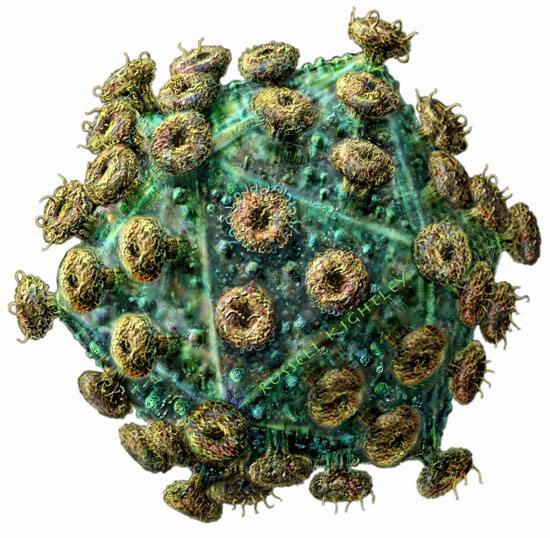 Những điều ít người biết về virus HIV/AIDS