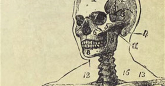 Những bí mật hóc búa nhất về cơ thể người