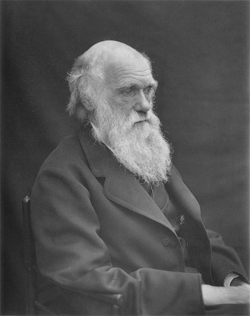 Ngày 12/2: Charles Darwin - Thuyết tiến hóa và chọn lọc tự nhiên