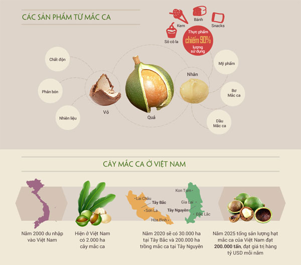 Lý do mắc ca được coi là 