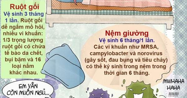 Lịch vệ sinh những 