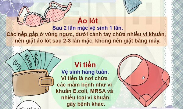 Lịch vệ sinh những 