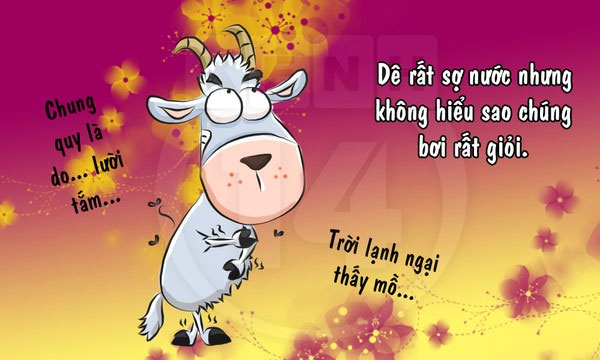 Fun fact về loài dê khiến bạn 