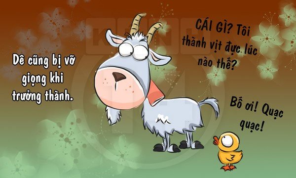 Fun fact về loài dê khiến bạn 