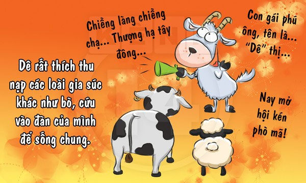 Fun fact về loài dê khiến bạn 