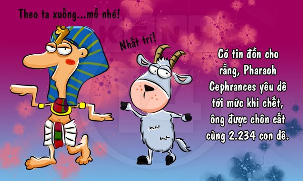 Fun fact về loài dê khiến bạn 