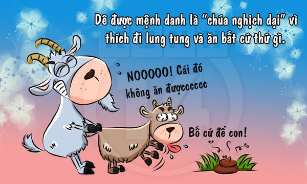 Fun fact về loài dê khiến bạn 