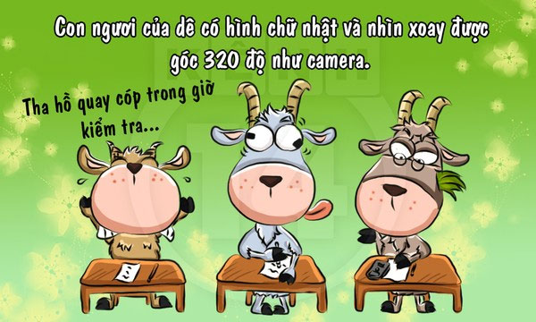 Fun fact về loài dê khiến bạn 
