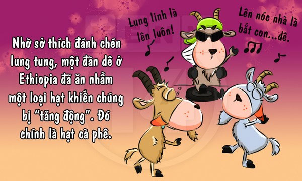 Fun fact về loài dê khiến bạn 