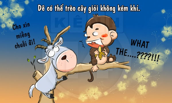 Fun fact về loài dê khiến bạn 