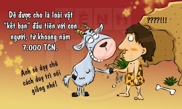 Fun fact về loài dê khiến bạn 