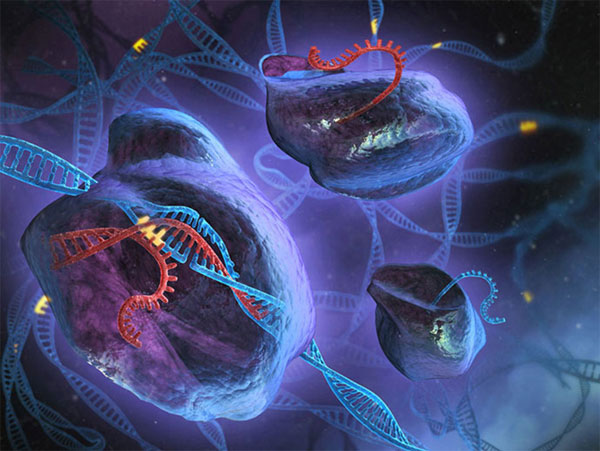 Câu chuyện về CRISPR: Từ vi khuẩn đến phát kiến vĩ đại của thế kỷ 21