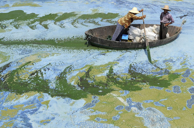 Những vùng đất ô nhiễm ở Trung Quốc
