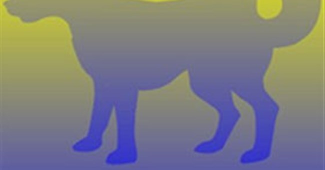 Các ảo ảnh thị giác "nguy hiểm" hơn cả chiếc váy Xanh đen - Vàng trắng