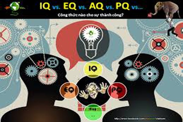 9 tiết lộ bất ngờ thú vị về chỉ số IQ của bạn