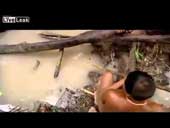 Xem thổ dân Amazon bắt lươn điện khổng lồ