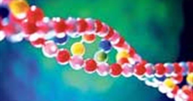 Con nhận di truyền từ cha nhiều hơn mẹ