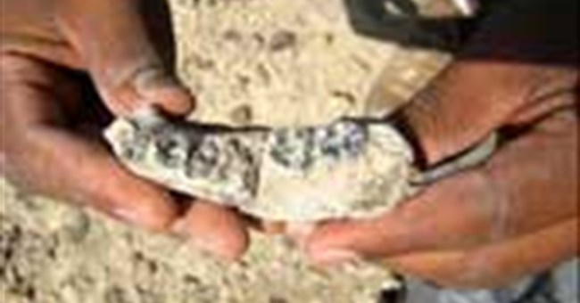 Phát hiện hóa thạch cổ xưa nhất của loài người