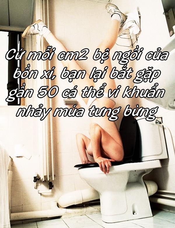 Bảng xếp hạng những thứ 