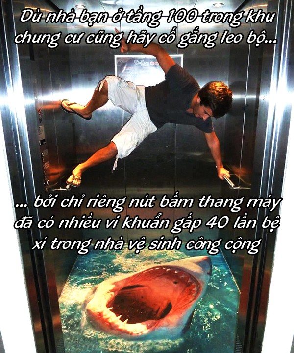 Bảng xếp hạng những thứ 