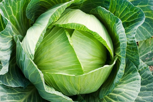 Rau và những loại trái cây ít đường tốt cho sức khỏe