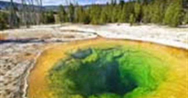 Hồ nước đổi màu độc đáo vì tiền xu