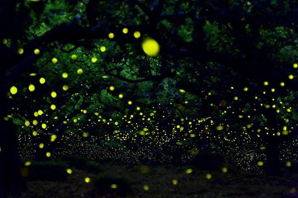 13 hiện tượng ánh sáng kỳ ảo khiến bạn không tin vào mắt mình