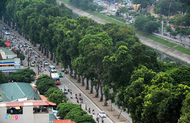 Ngắm những tuyến đường rợp bóng cây xanh ở Hà Nội
