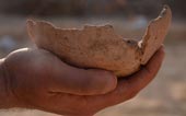 Người Ai Cập có thể sản xuất bia từ 5.000 năm trước