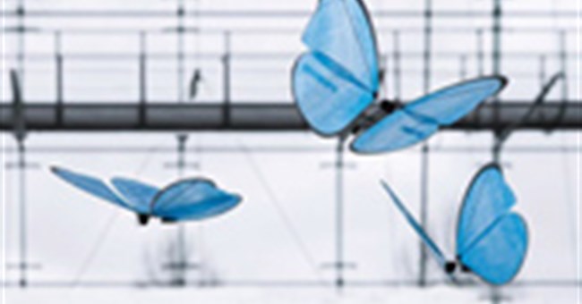 Đức chế tạo thành công robot bướm giống như thật