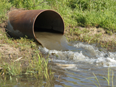 Băng vệ sinh giúp phát hiện nguồn nước ô nhiễm dễ dàng hơn
