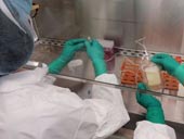 Mỹ phát triển vắcxin mới chống bệnh ung thư tế bào hắc tố