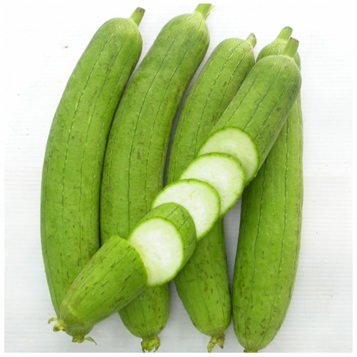 Kỹ thuật gieo trồng cây mướp cho năng suất cao