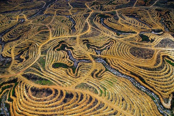 Chùm hình ảnh gây sốc về môi trường bị tàn phá trên hành tinh