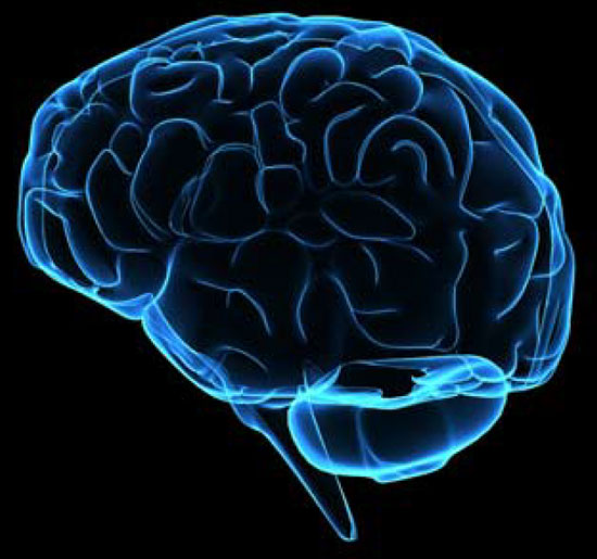 10 điều "thú vị nhưng sai bét" về não bộ con người