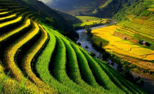 25 bức ảnh về Việt Nam đẹp \