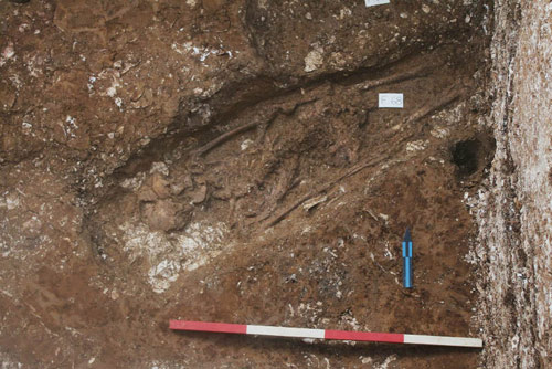 Phát hiện 3 bộ xương người Việt cổ niên đại 5.000 năm ở Hà Tĩnh